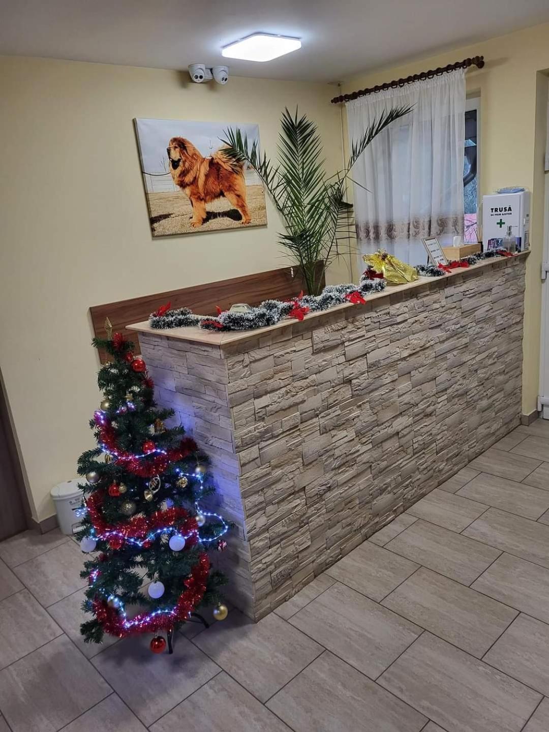 Hotel Thor Si Cora Sovata Esterno foto