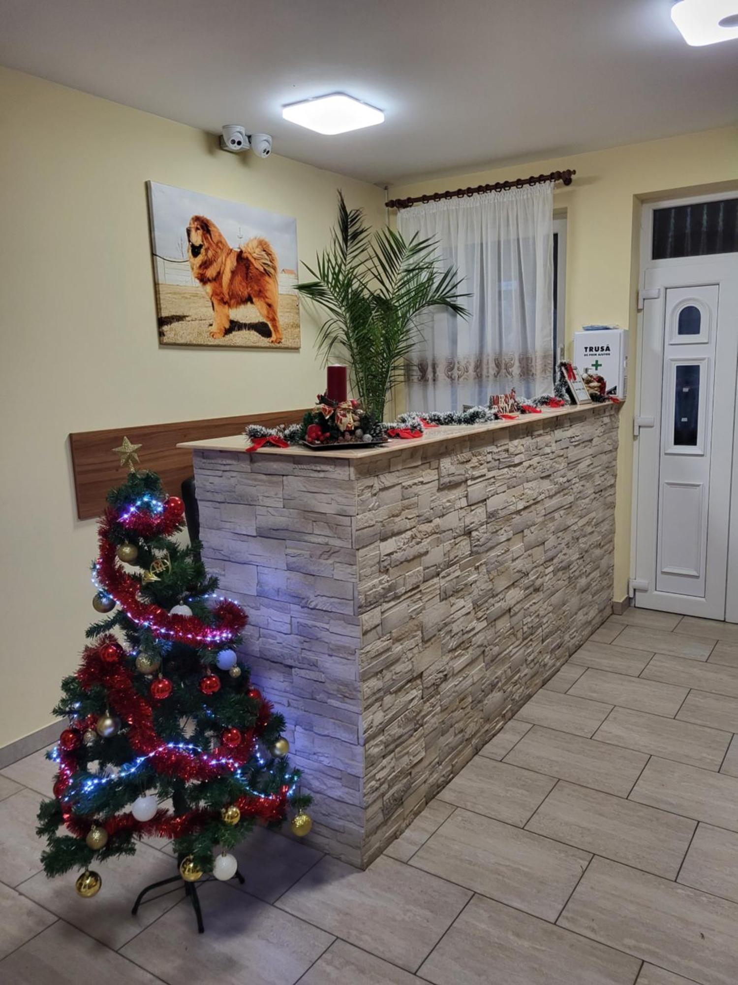 Hotel Thor Si Cora Sovata Esterno foto